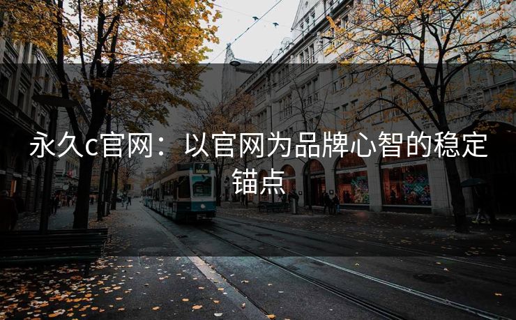 永久c官网：以官网为品牌心智的稳定锚点