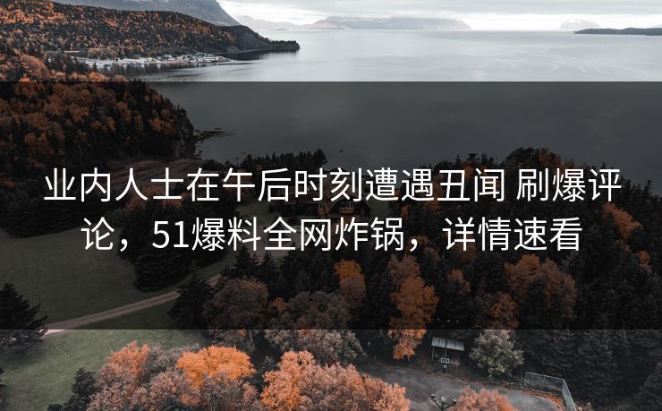 业内人士在午后时刻遭遇丑闻 刷爆评论，51爆料全网炸锅，详情速看