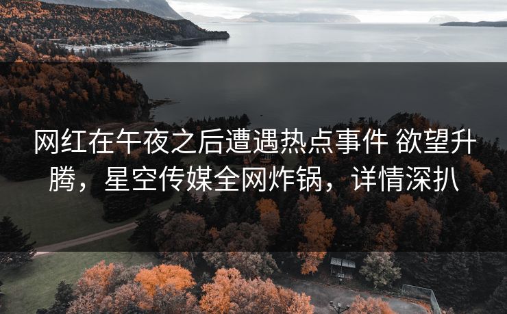 网红在午夜之后遭遇热点事件 欲望升腾，星空传媒全网炸锅，详情深扒