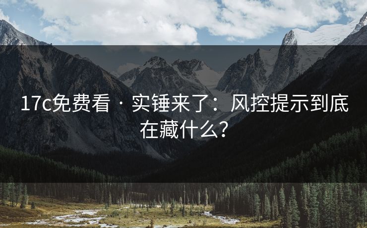 17c免费看 · 实锤来了：风控提示到底在藏什么？